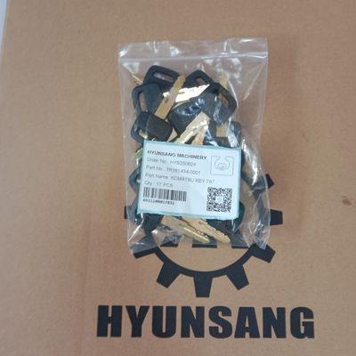 Hyunsang Parts  Key 787 TR261434-0001 For Most Current  Heavy Equipment