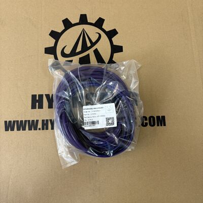 Excavator Parts SEALING KIT 270950 For D13 Engine